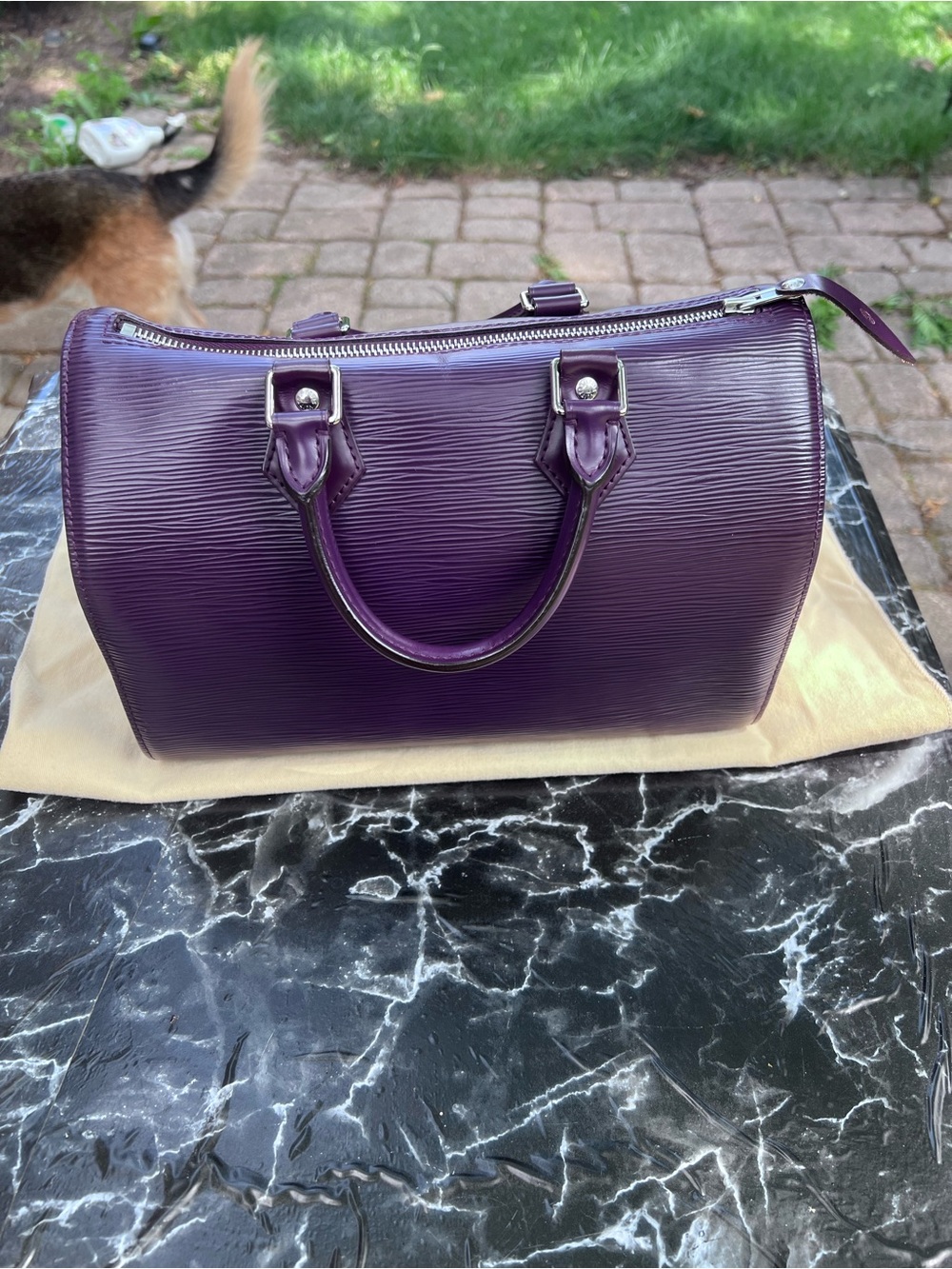 Louis Vuitton Speedy 25 Epi Leather - Picture 11 of 13
